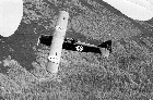 Letov S.16 #25