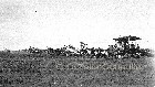 Hannover CL.III