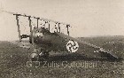 Sopwith Camel #7